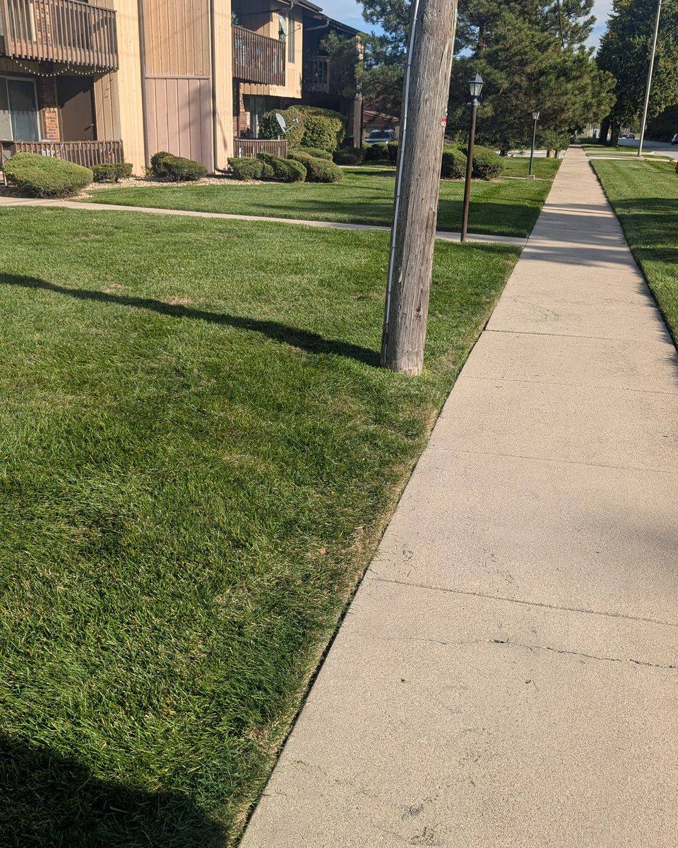 Sharp grass edge running the length of a public sidewalk