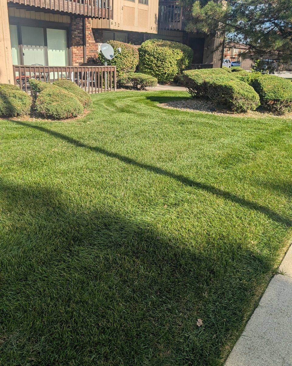 Cut and striped lawn beside a townhome, shrubs trimmed and beds clear