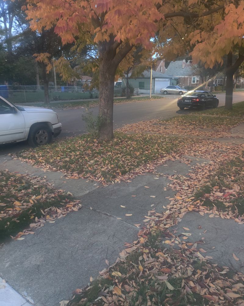 Residential driveway and front walk covered in fallen leaves