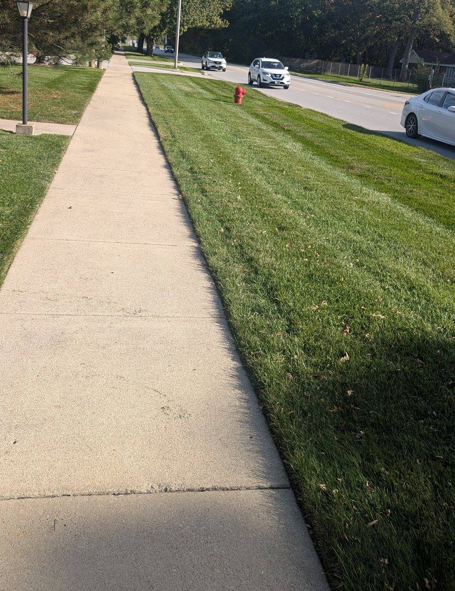 The same walk in autumn, verges mown and edged on both sides